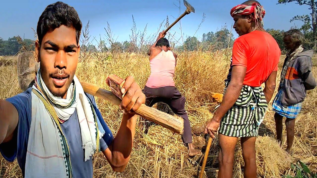 Aaj Pakde  चूहा  खेतों  Me || 