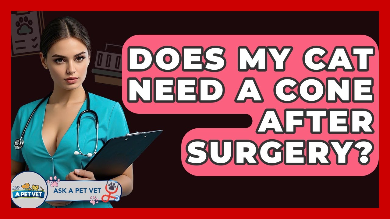 Does My Cat Need A Cone After Surgery? - Ask A Pet Vet