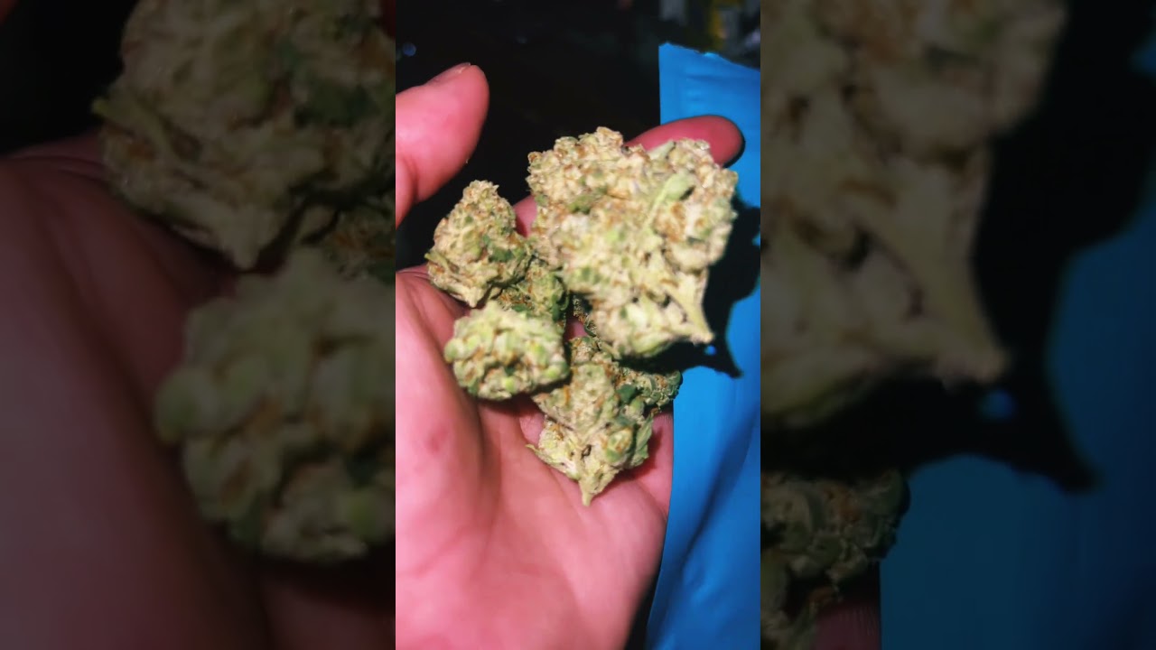 #canada #cannabisdaily #cannabisdispensary Highly Dutch Organic - Middleburg (Hybrid)