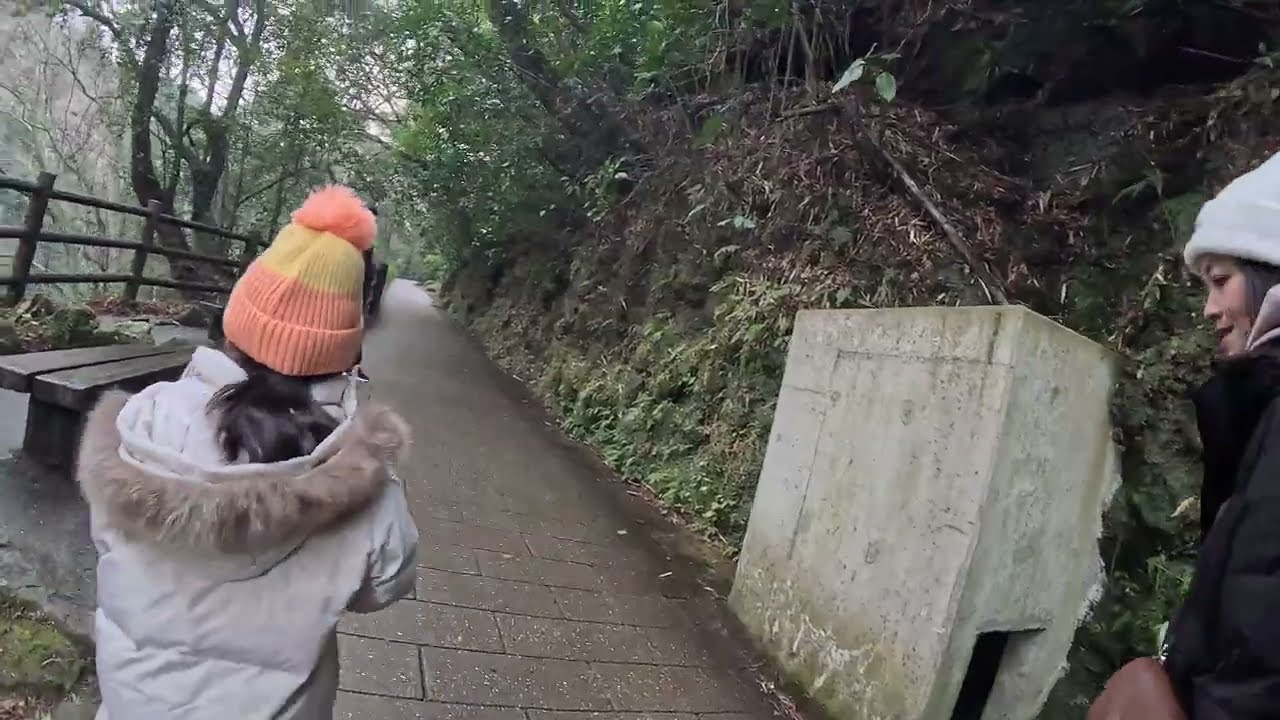 2026/01/24 天戶岩神社走到天岩戸神社 西本宮