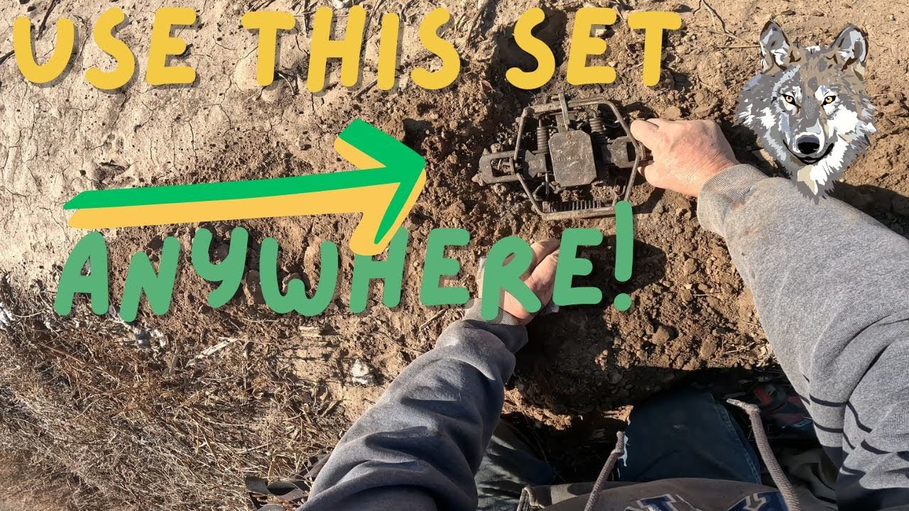 Flat Set Location Every Trapper needs to Set #trapping #coyote #bobcat #fox #flatset