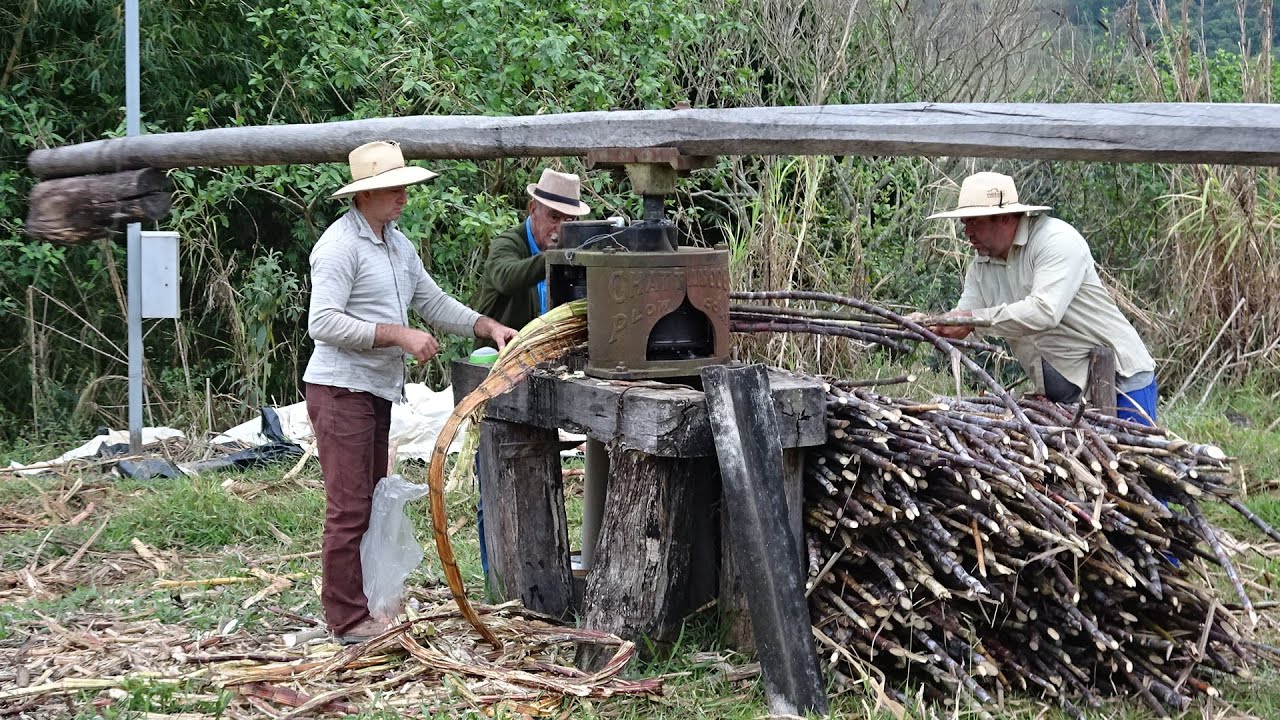 DIA DE FAZER RAPADURA NA ROÇA DO DONIZETE