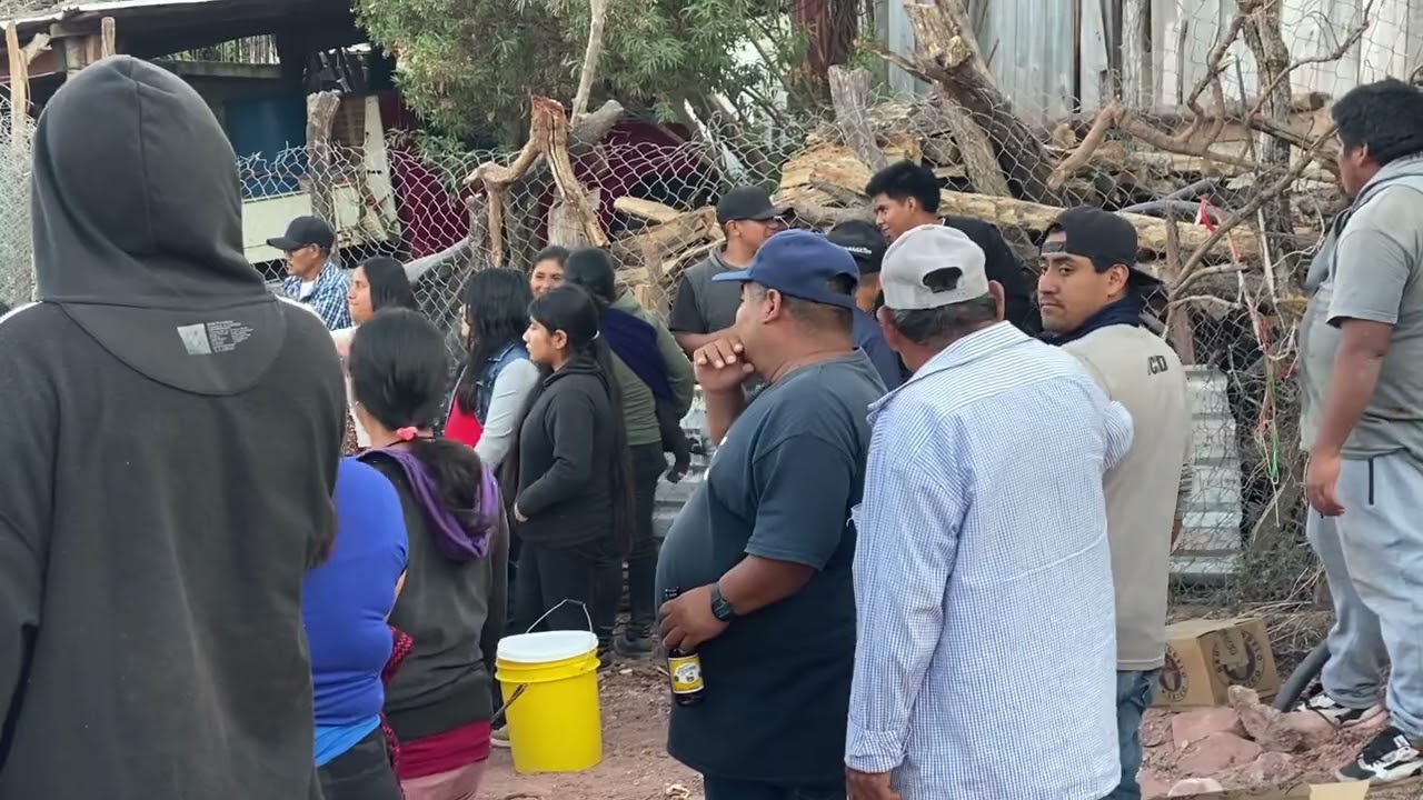 Fiesta de carnaval en Ahuejutla peras 2025