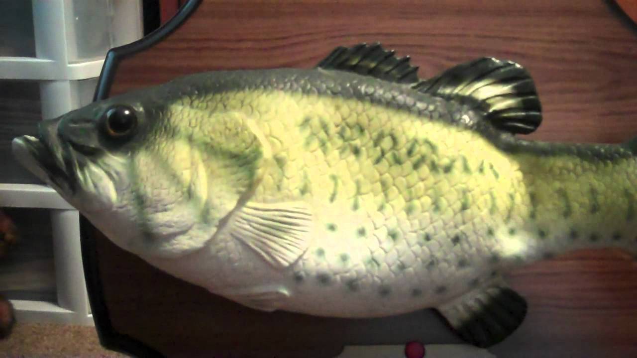 ***BIG MOUTH BILLY BASS*** (Singing fish)