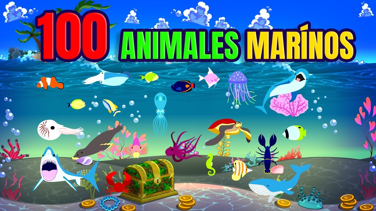 100 Animales Marinos | Nombres y Datos Curiosos