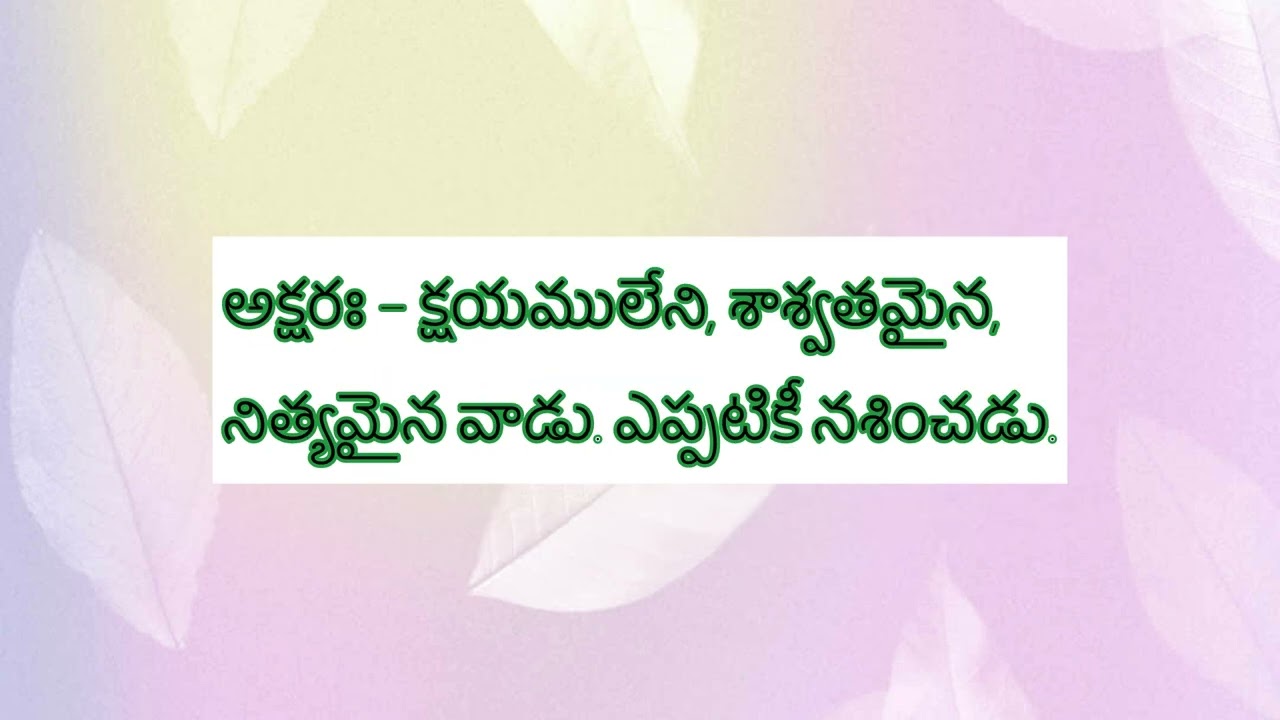 విష్ణు సహస్రనామం 2వ శ్లోకం పూర్తి అర్థం | పూతాత్మా పరమాత్మా చ వివరణ