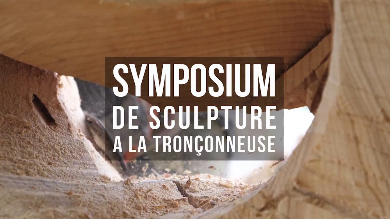 Symposium de sculpture à la tronçonneuse 2017 (Mehdi Media)