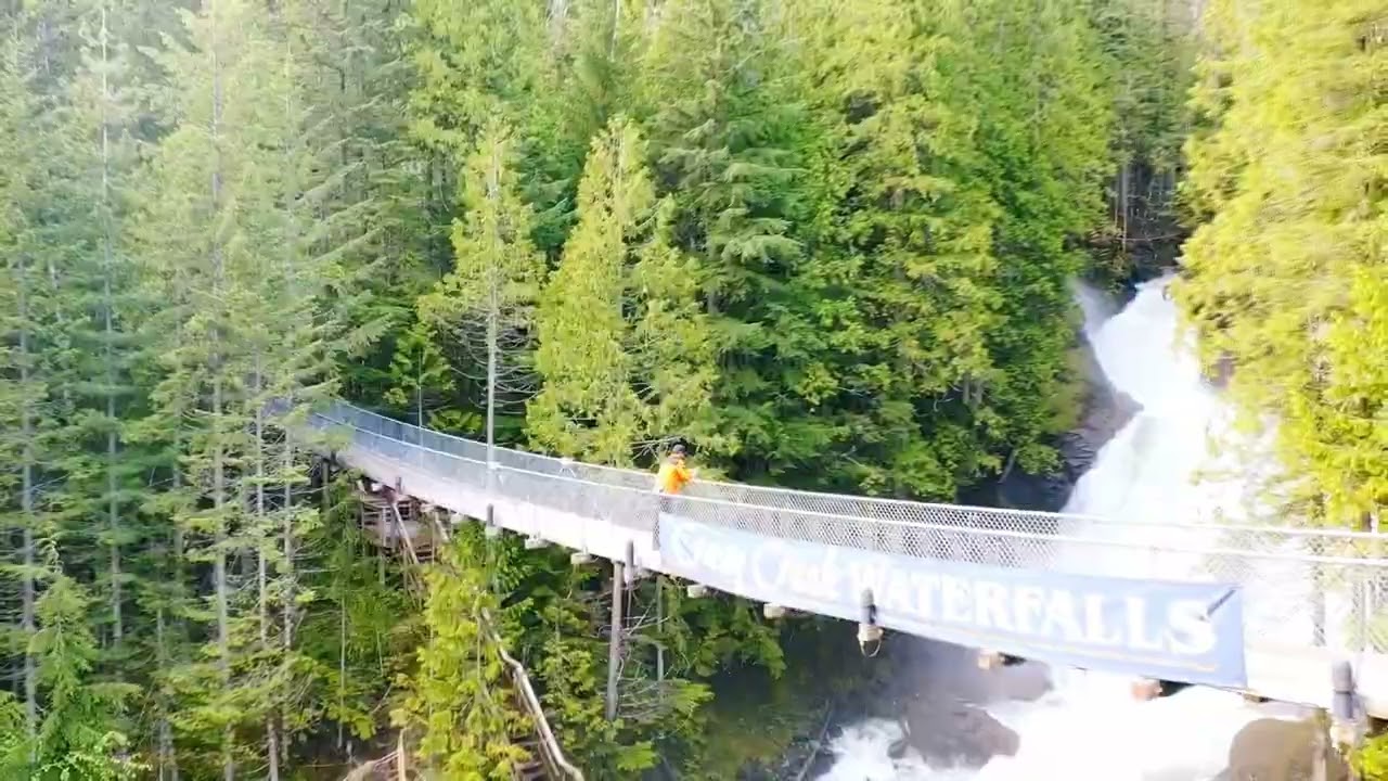 Crazy Creek Waterfall & Suspension Bridge