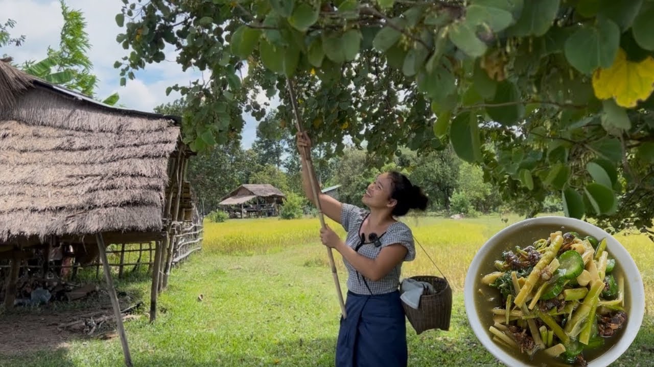 ແກງແໜງໜໍ່ໄມ້ໃສ່ແມງຈິຫຼໍ່🇱🇦แกงแหนงหน่อไม้ใส่แมงจิโป่ม