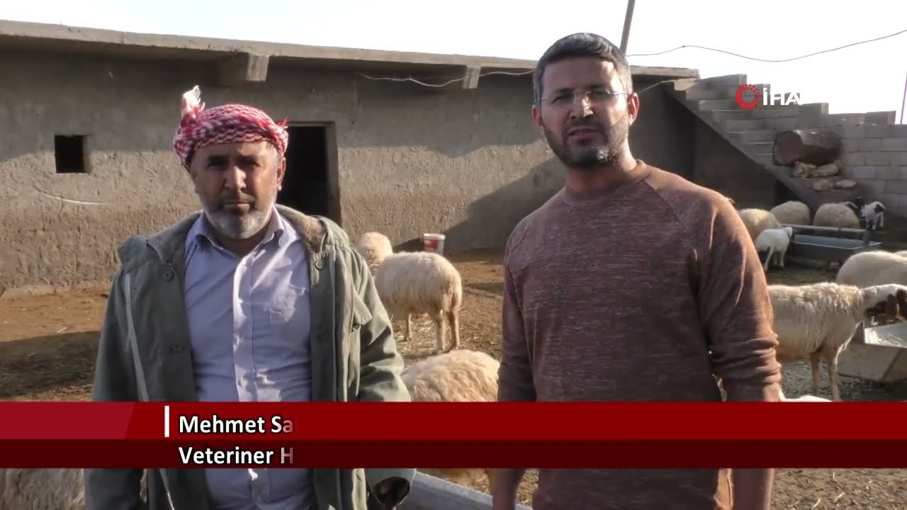 Mardinli besiciler üretimi ikiye katladı