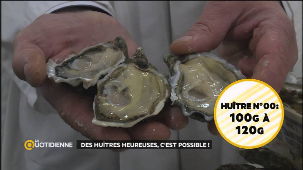 Comment bien choisir ses huîtres ?