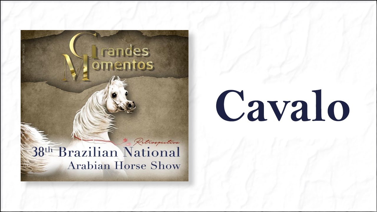 Retrospectiva Nacional Cavalo Árabe 2019 - Cavalo