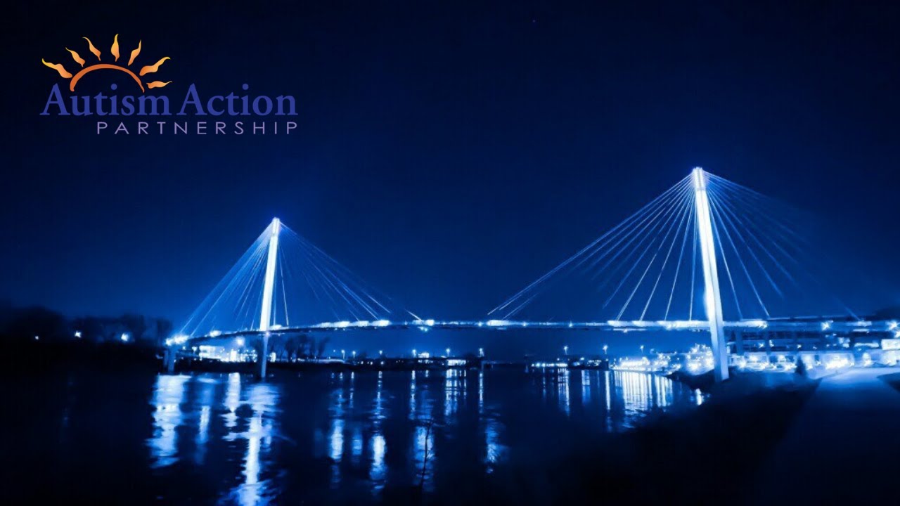 About Autism Action Partnership