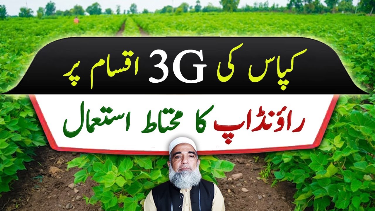 Careful use of Glyphosate in Roundup ready / 3G Cotton || Crop Reformer