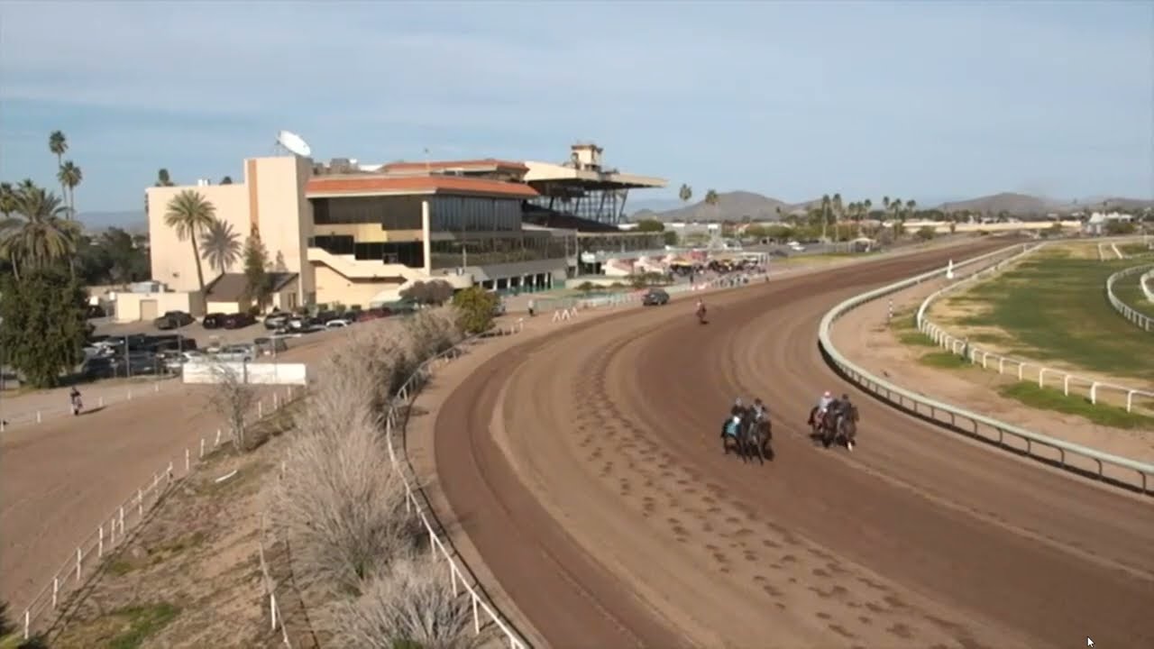 R6 TURF PARADISE USA - 02 ФЕВ 2026