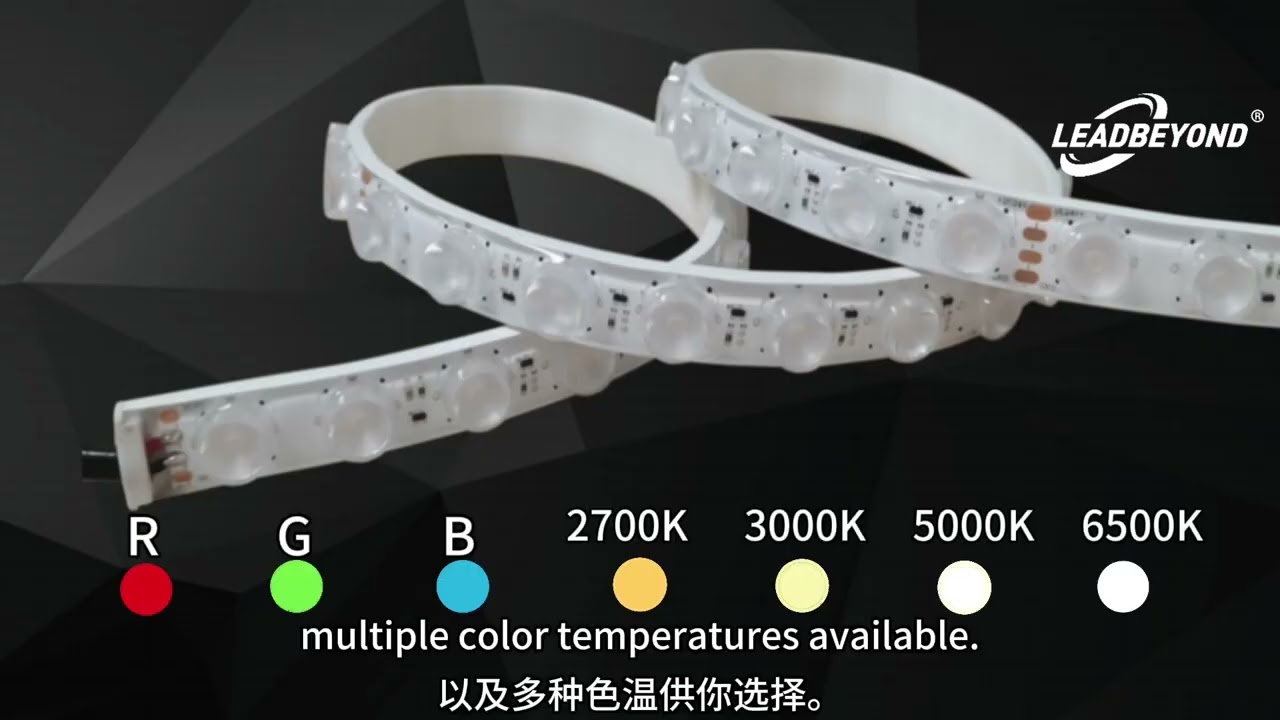 LEADBEYOND's Semi encapsulated Wallwasher Light Up Your Building Facade Like Never Before!