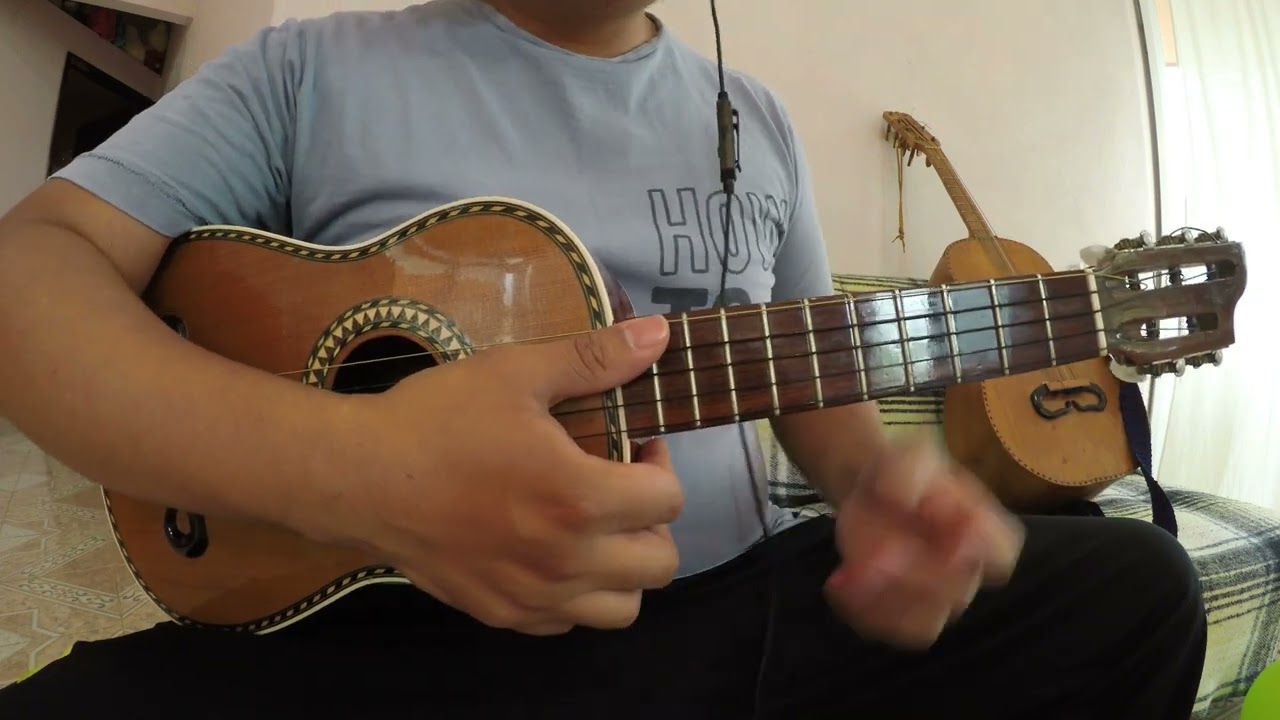 Tutorial de Huapango: 