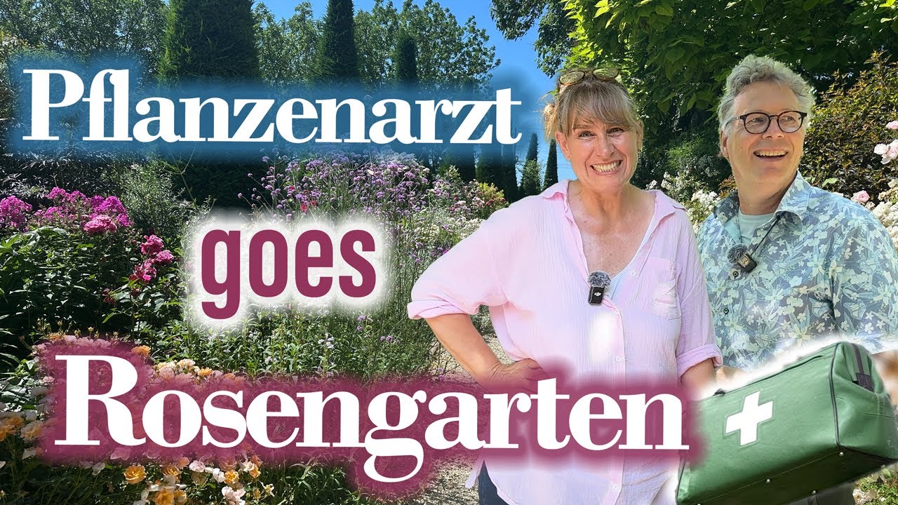 Der PFLANZEN-ARZT im ROSEN-PARADIES 🌡️ René Wadas im Rosen-Talk mit Stefanie Körner 🌹 Experten-TiPPs