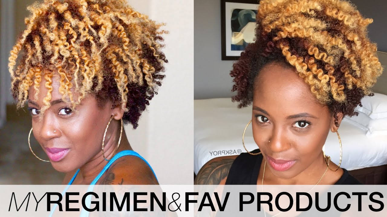 BEST Products for Healthy, Color Treated Hair + My Regimen | Natural Hair