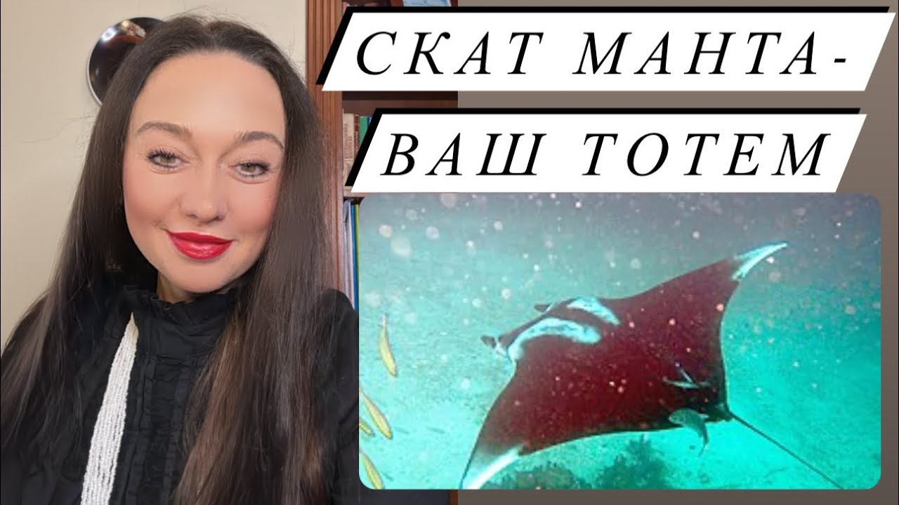 Скат- тотемное животное#