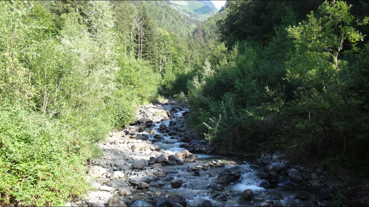 Pêche de la truite de la grande rivière en montant vers les sources(fin Août 2020)