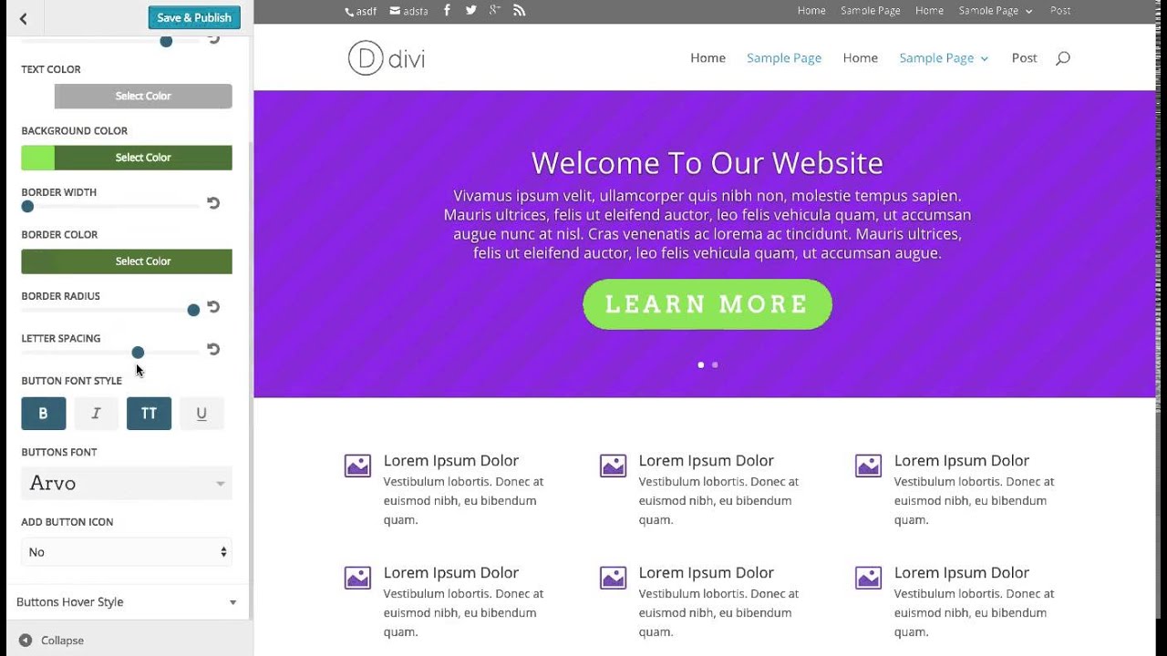 Using The Divi Button Customizer Settings