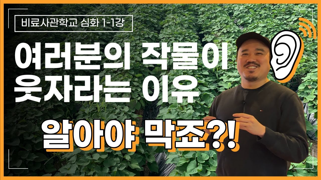 웃자람? 도장지? 원인부터 알아야 막습니다 모르면 비싼 영양제만 삽니다 |인산가리, 인산칼슘 | 비료사관학교 1-1강 | 농사 100단