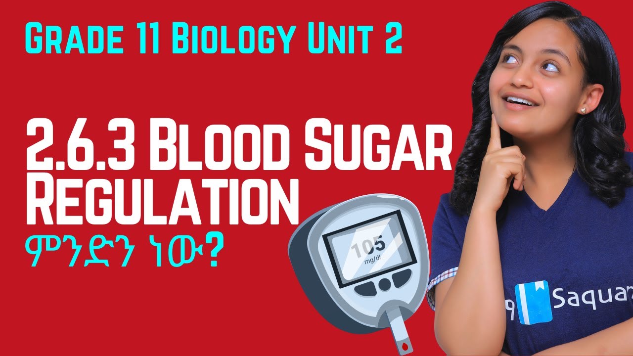 Grade 11 Biology Unit 2 : Animals, 2.6.3 Blood Sugar Regulation |Saquama