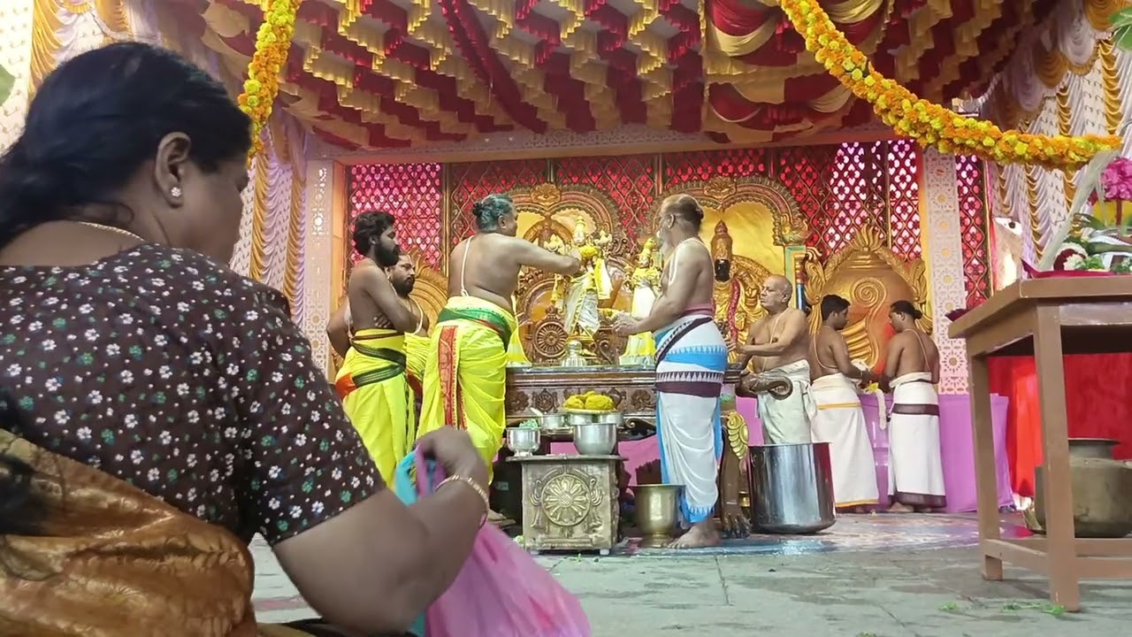 Venkateswara Swamy vari  pasupu snanam 🙏🙏🙏🙏💐🌺