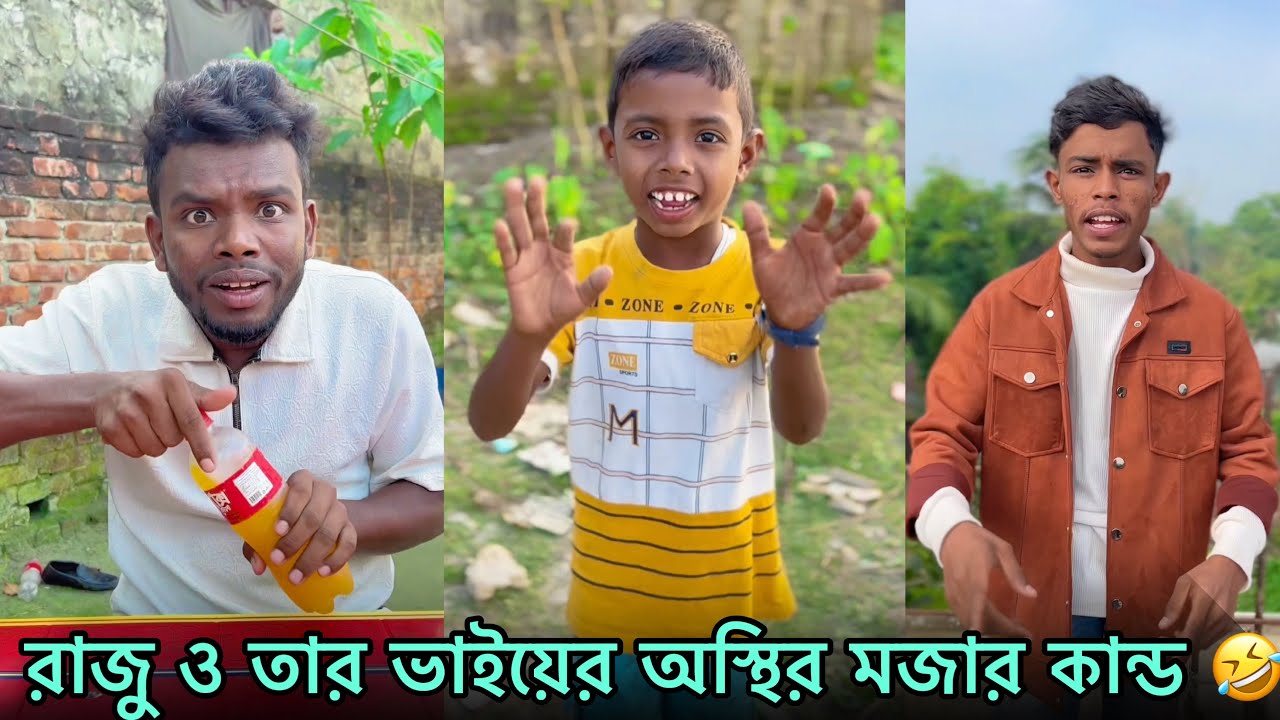রাজু ও তার ভাইয়ের অস্থির মজার কান্ড🤣Raju & Brother Crazy Funny Moments | Part 38| NLF Sohel Official
