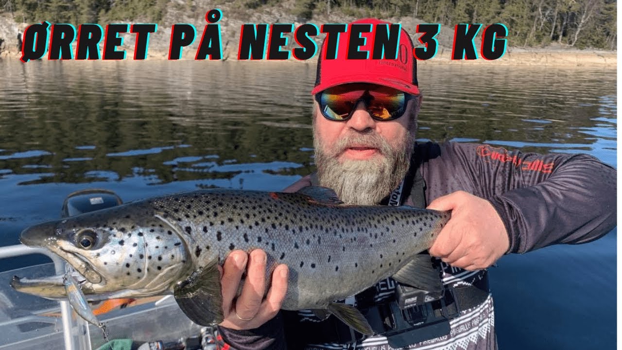 &Oslash;rret og abborfiske Mj&oslash;sa 17 04 2021