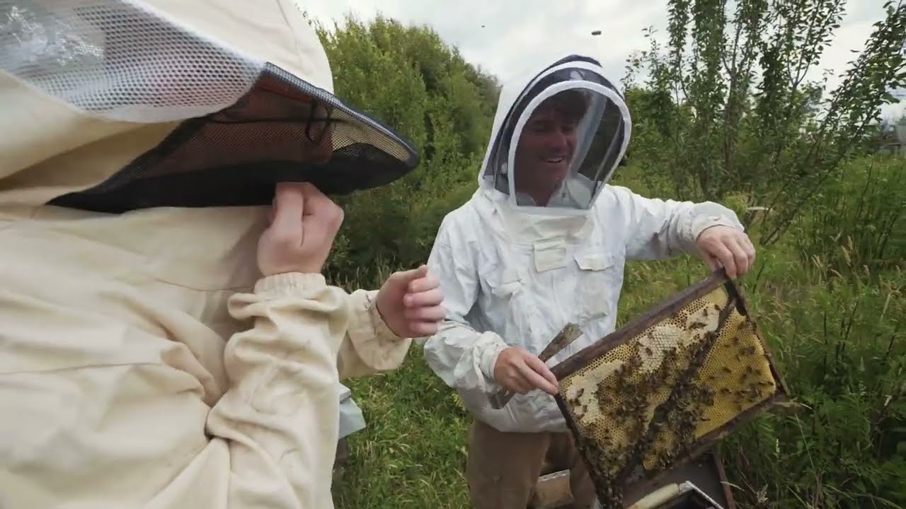 Portrait de saison - Métier Apiculteur