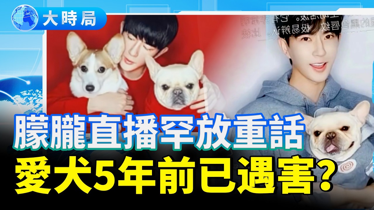 心碎真相曝光：愛犬「火腿」早在5年前就被害？于朦朧怒喊「你們做個人好嗎？」從上海詭異廣告到美院禽獸教授，我們離真相還有多遠？｜娛樂暗流｜要聞透視｜大時局