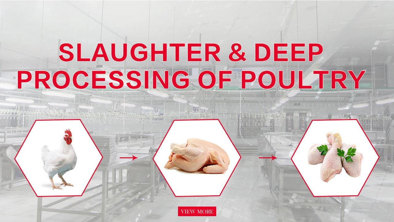 Chicken Processing Line Equipment Machine