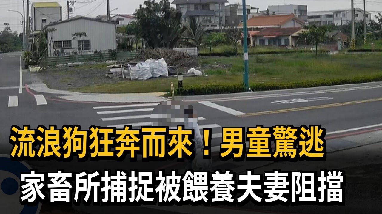 流浪狗狂奔而來！ 男童驚逃 家畜所捕捉被餵養夫妻阻擋－民視新聞