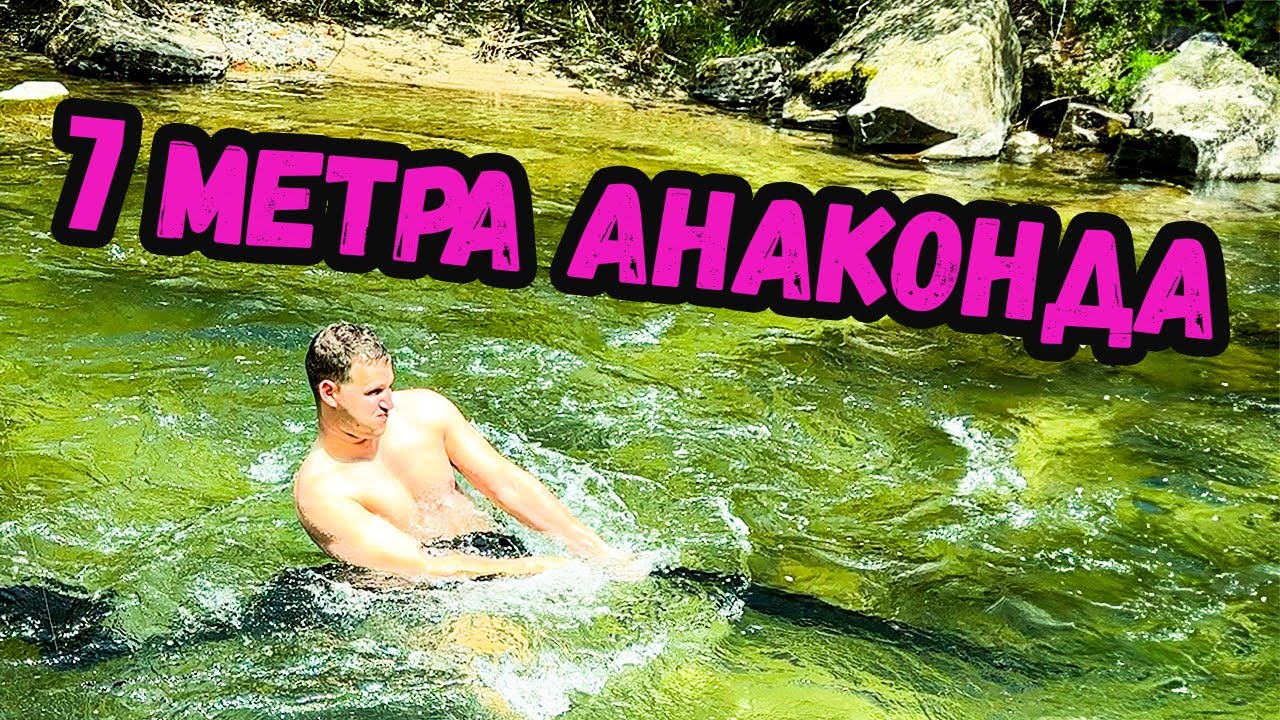ЛОВИМ КЕФАЛИ, БЕРЕМ и ЯДЕМ ГЪБИ! Риболов на река Вит