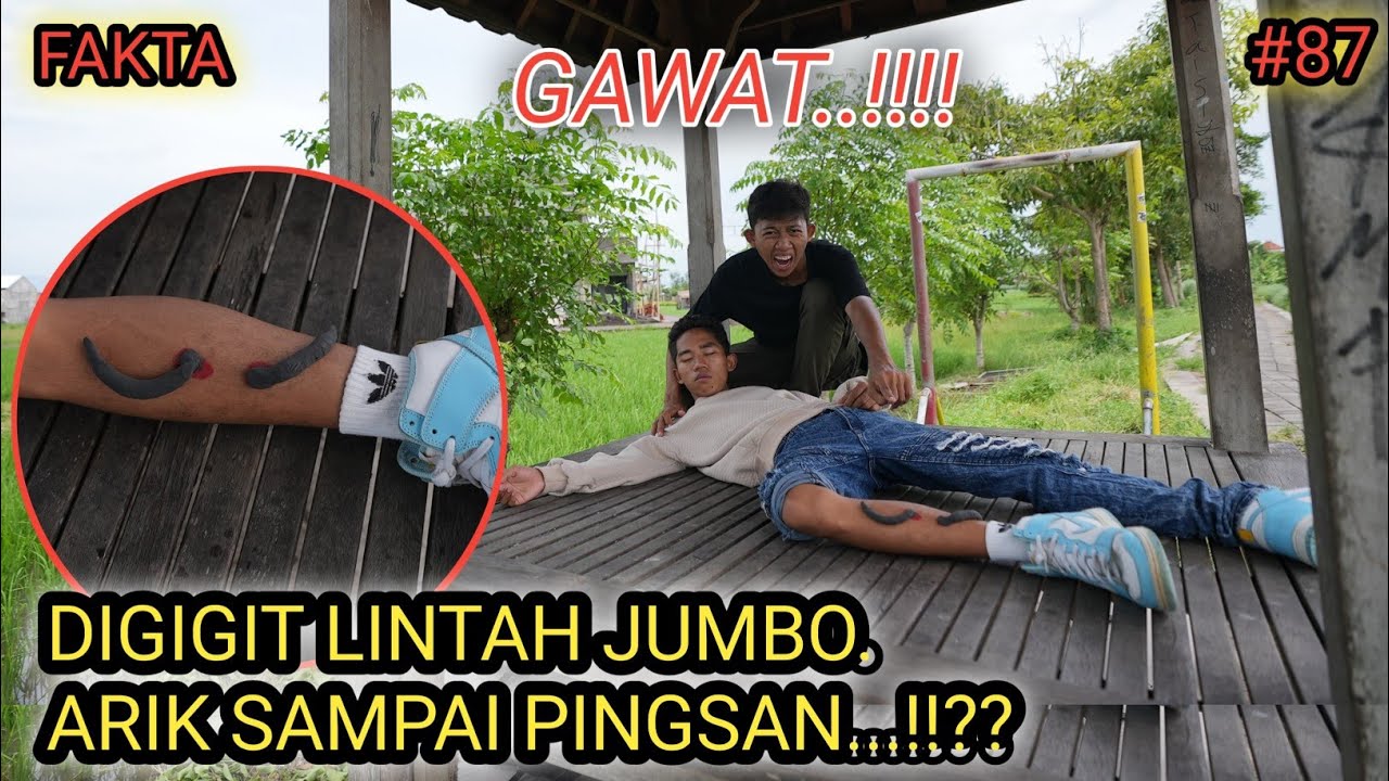 FAKTA part 87 | Mikael Family