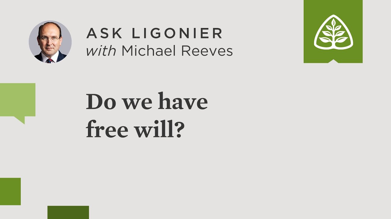 Do we have free will?
