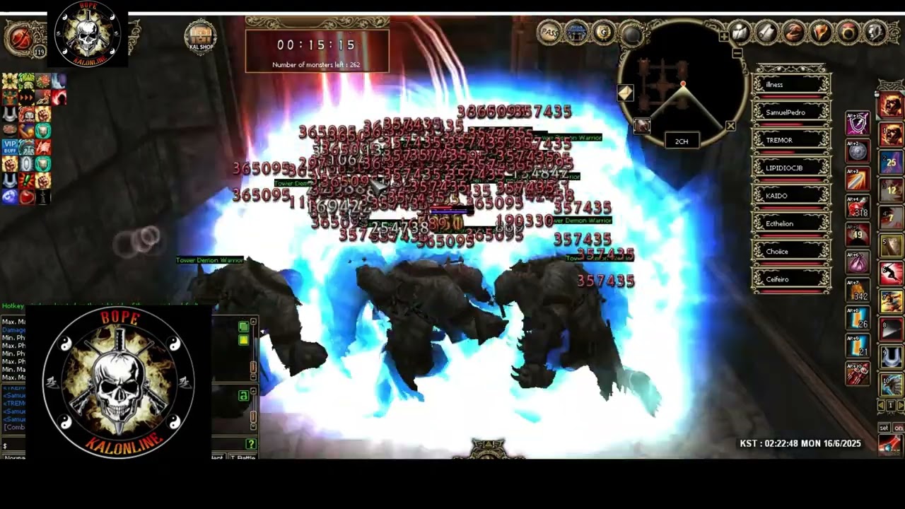 KalOnline- Infinity Tower F5  PRO Knight Party