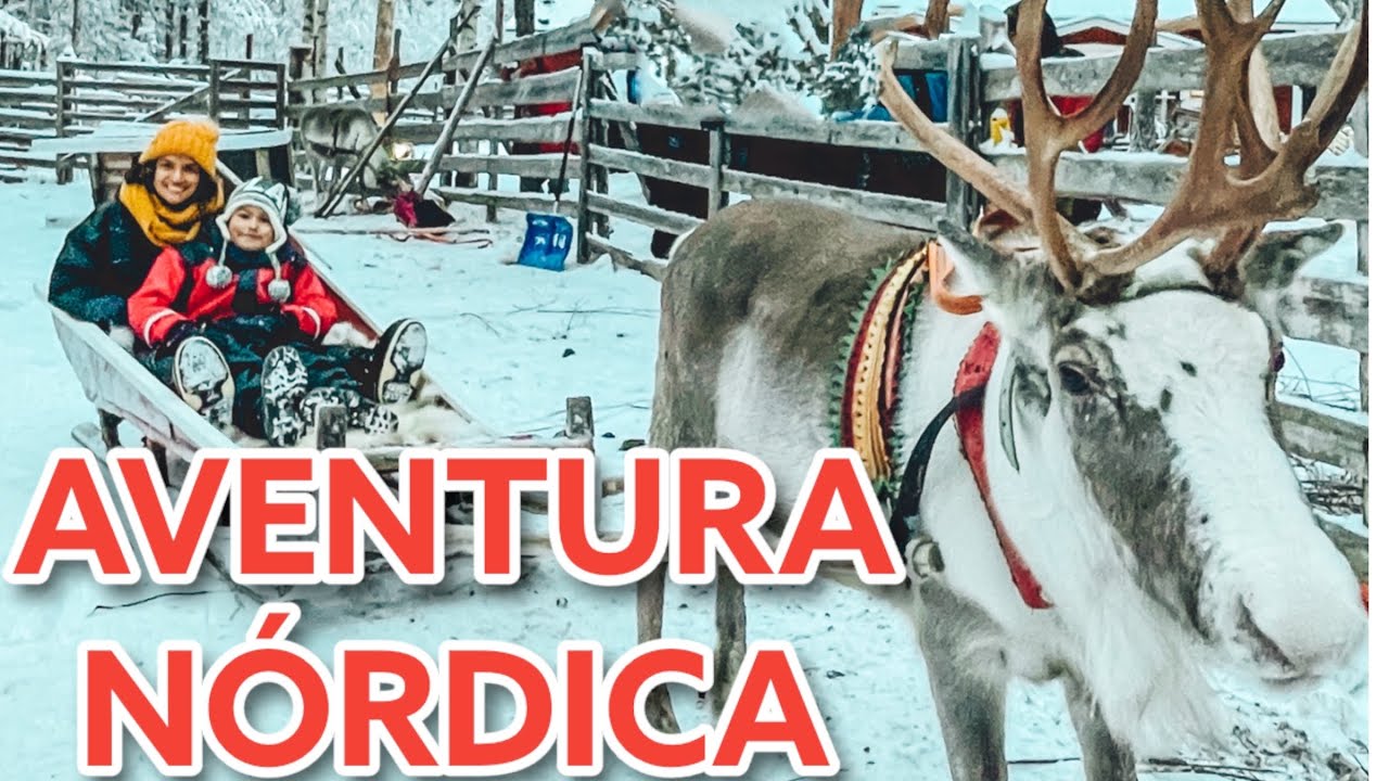 ¿Qué hacer en LAPONIA? ❄️| ¡PASEO con RENOS, HUSKIES y más!