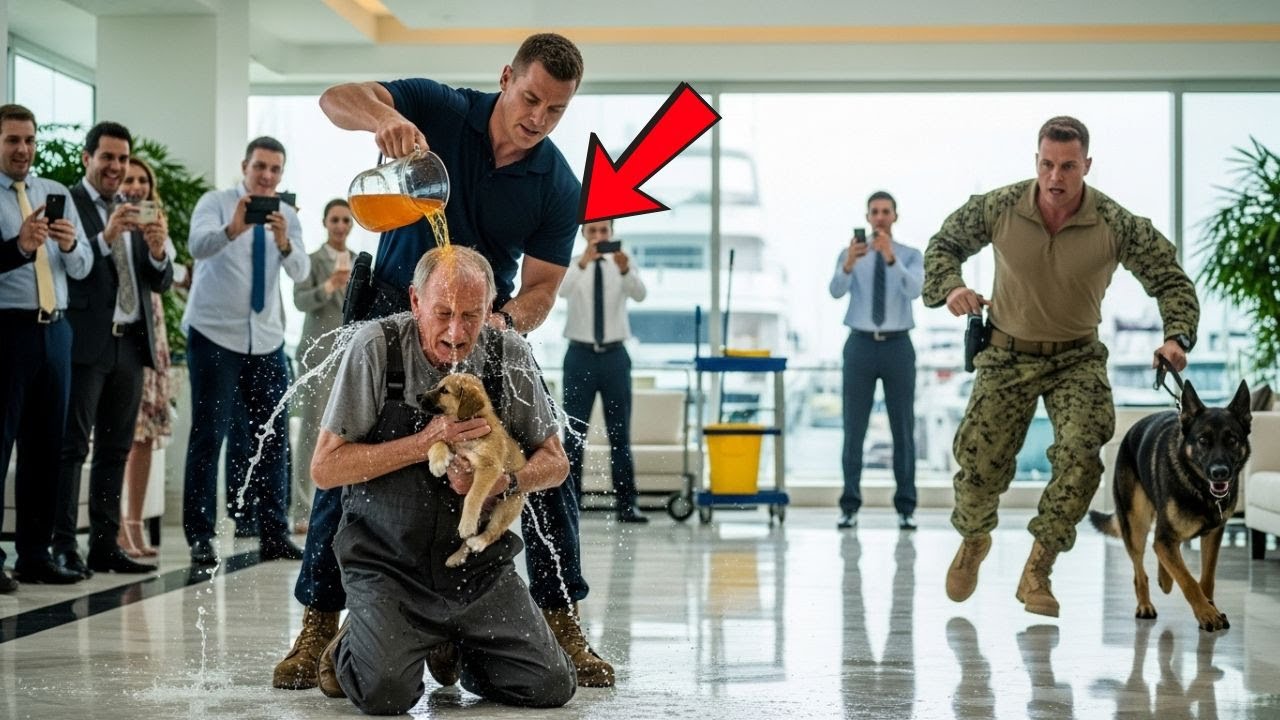 A Navy Seal Saw His Father Humiliated — His Dog Knew Something Was Wrong