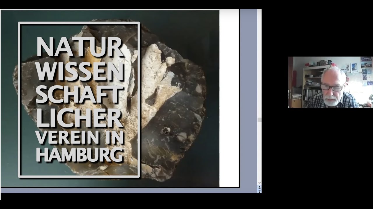 Fossilfunde in der Kiesgrube Zarrentin / Heribert Schwandt