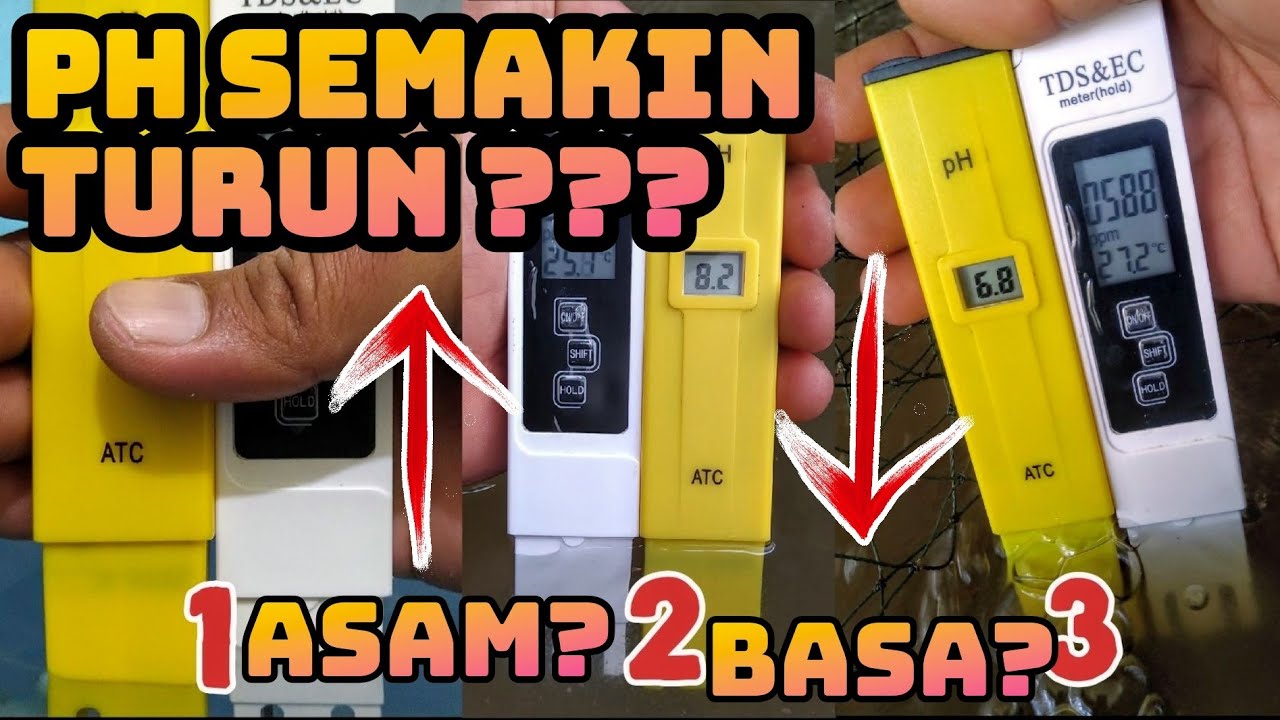 Cara Menaikkan PH Pada Air Kolam Budidaya Ikan Nila Sistem Bioflok