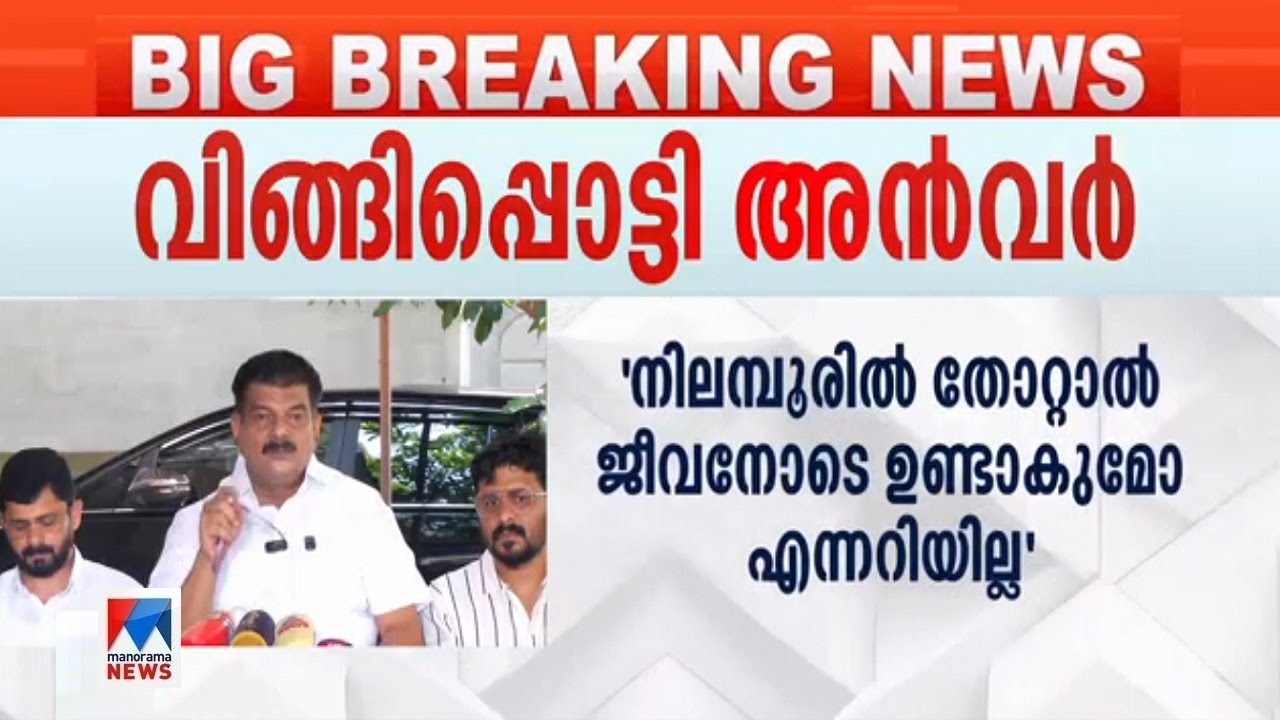 വി.ഡി. സതീശന് പിന്നില്‍ പിണറായി വിജയന്‍ | P V Anwar | V.D.Satheeshan