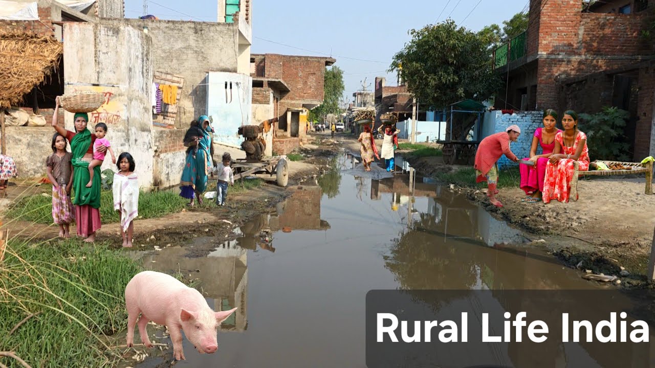 🇮🇳This Is The Truth Of Indian People [] Real Life Of Indian People [] #RuralLifeIndia​