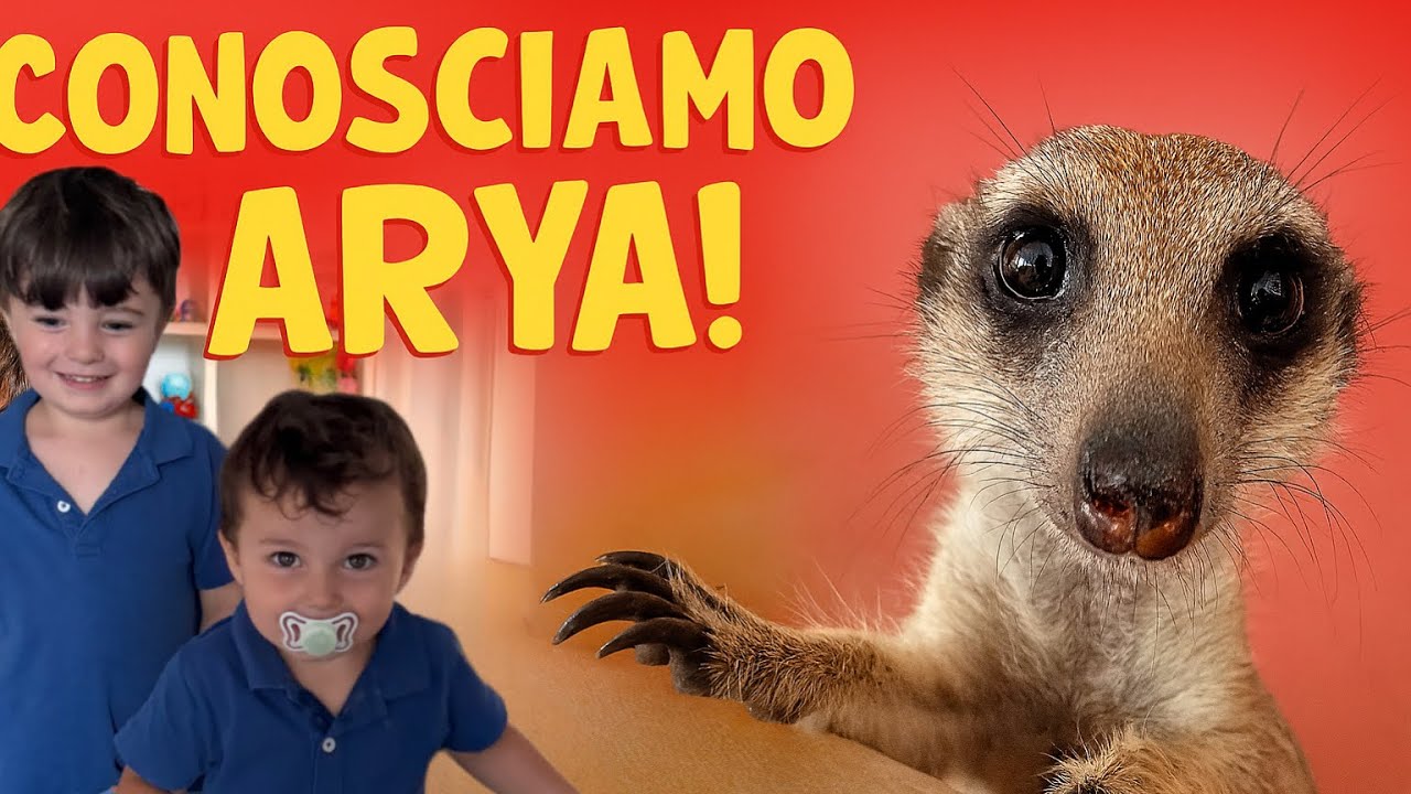 PRIMA VOLTA con un SURICATO! + Reazione 🐾😍🔥