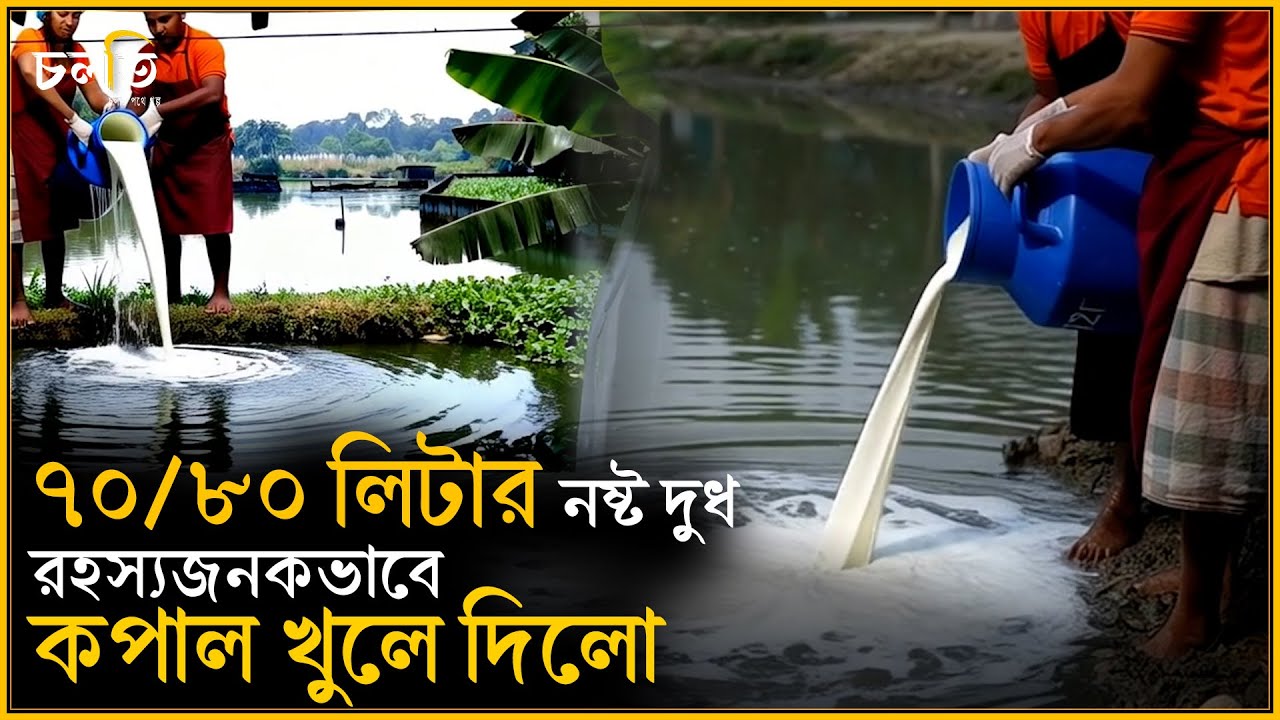 প্রতিদিন পুকুরে ফেলা দুধ সাদা সোনা হবে ভাবেন নি সোহান || চলতি