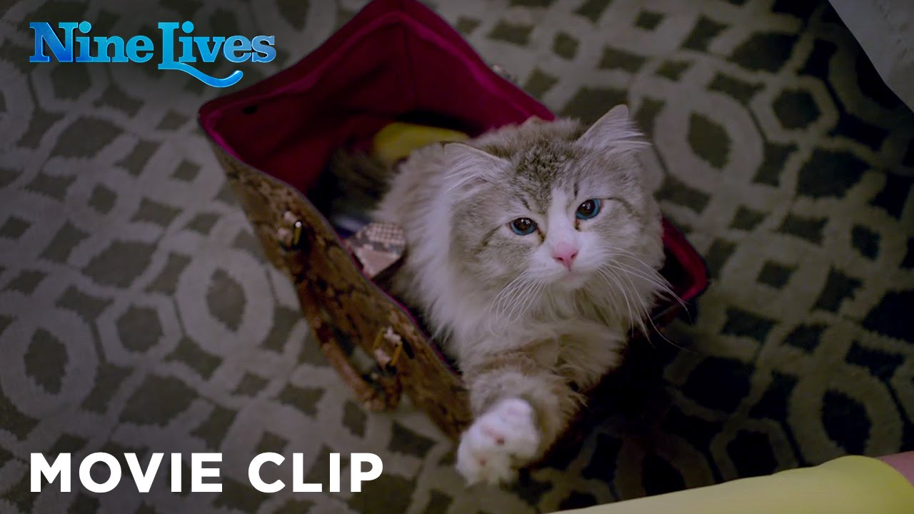 Nine Lives - Who Needs a Litter Box [HD]