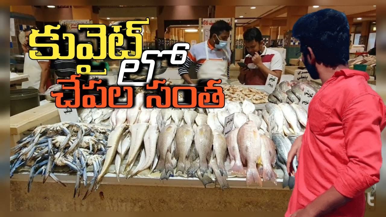 kuwait లో చేపల  సంత // allukumarak //