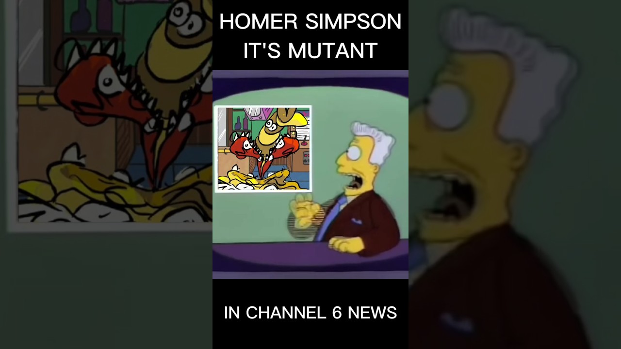 CHANNEL 6 NEWS INCIDENT 165